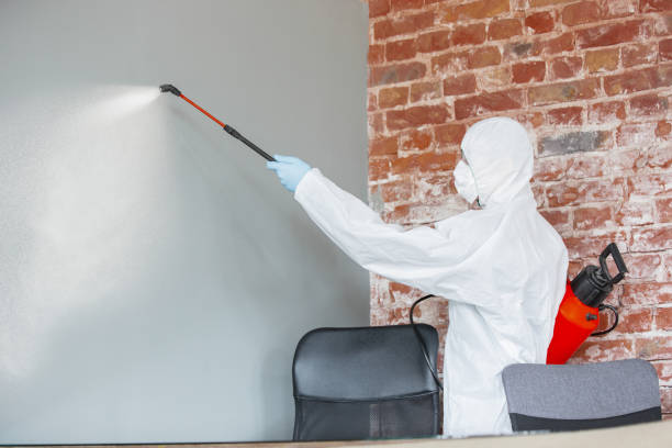 Best HVAC Mold Inspection and Cleaning  in Madera Ranchos, CA