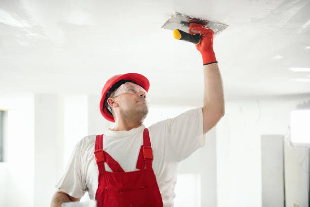 Best Mold Odor Removal Services  in Madera Ranchos, CA